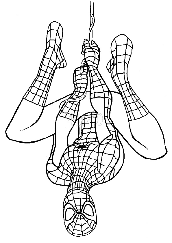 Spiderman Coloring Pages Free Printable 163