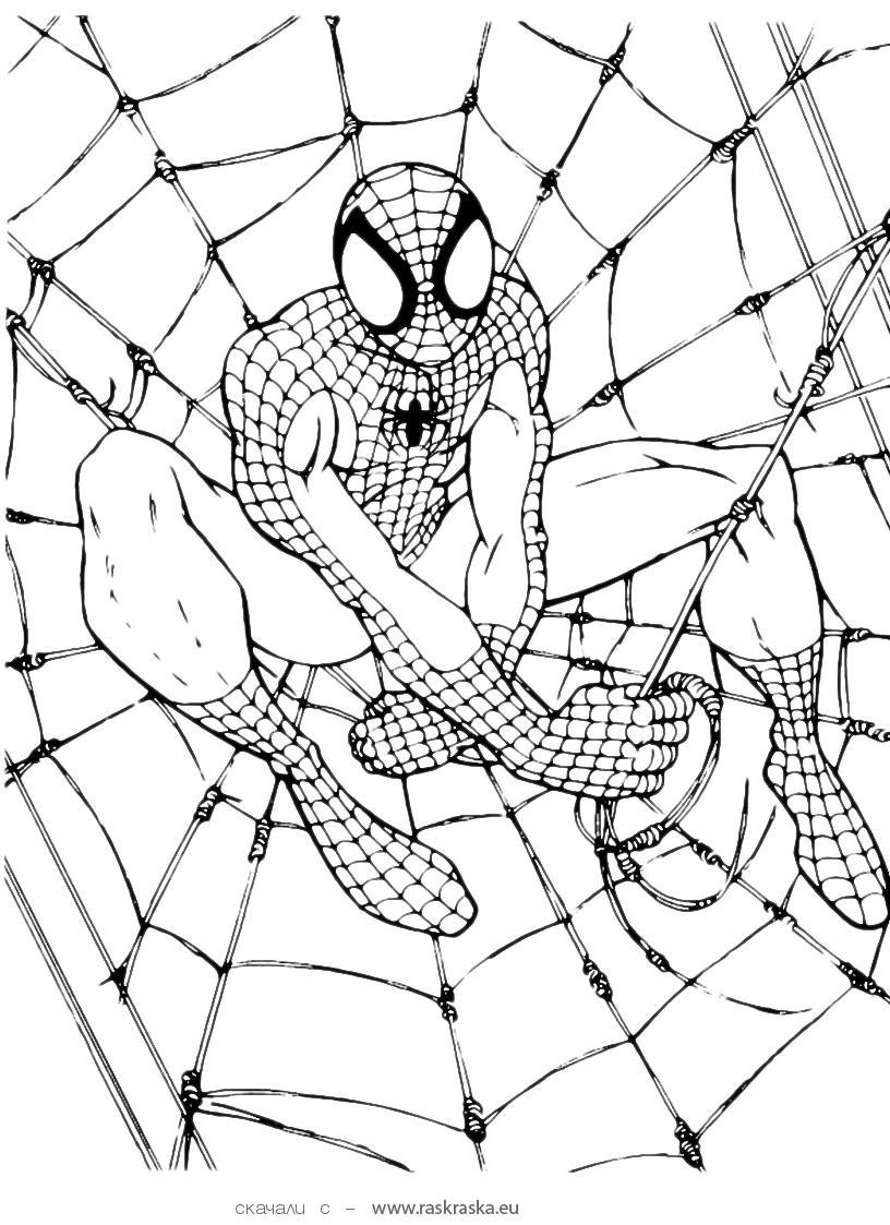 Spiderman Coloring Pages Free Printable 41