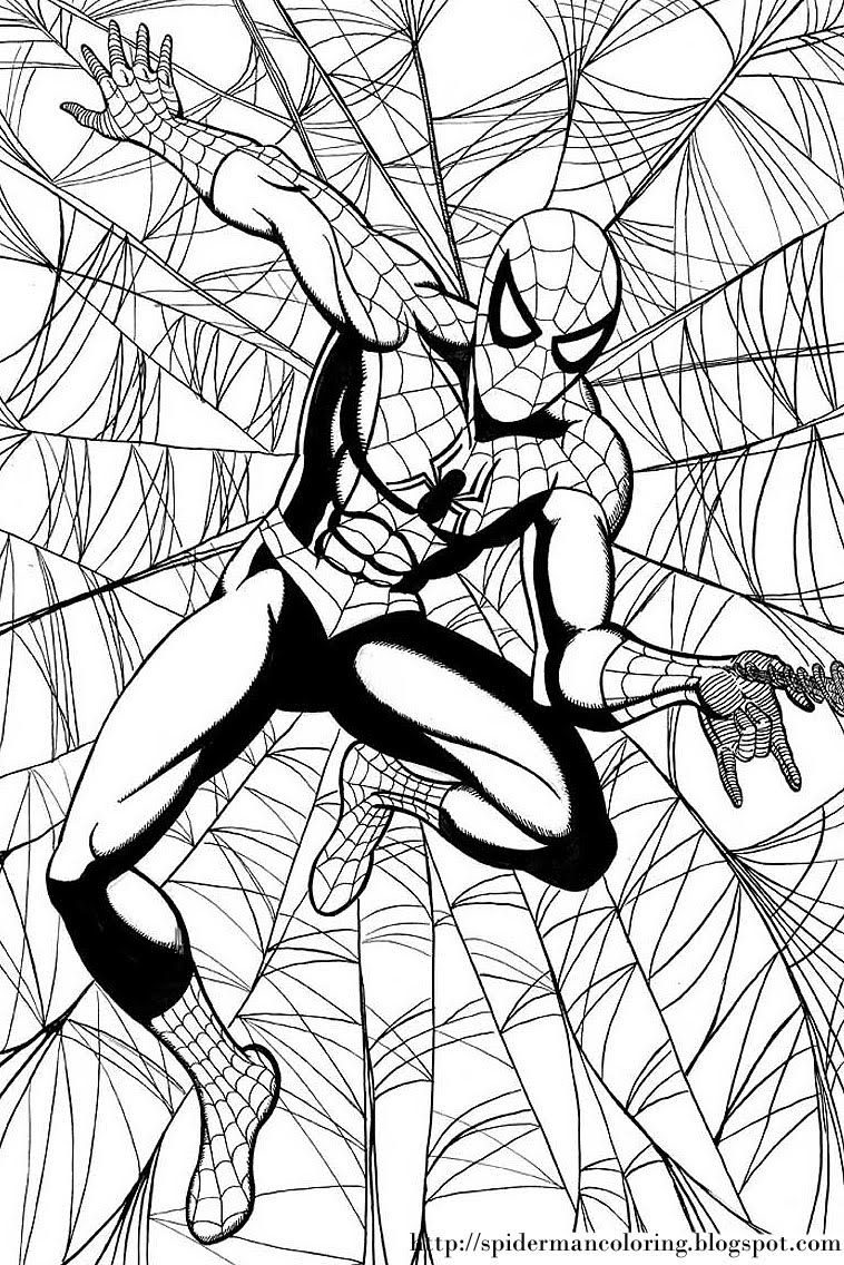 Spiderman Coloring Pages Free Printable 45