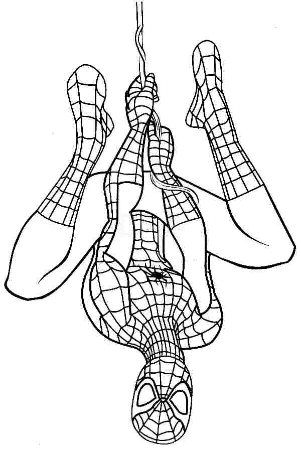 Spiderman Coloring Pages Free Printable 49