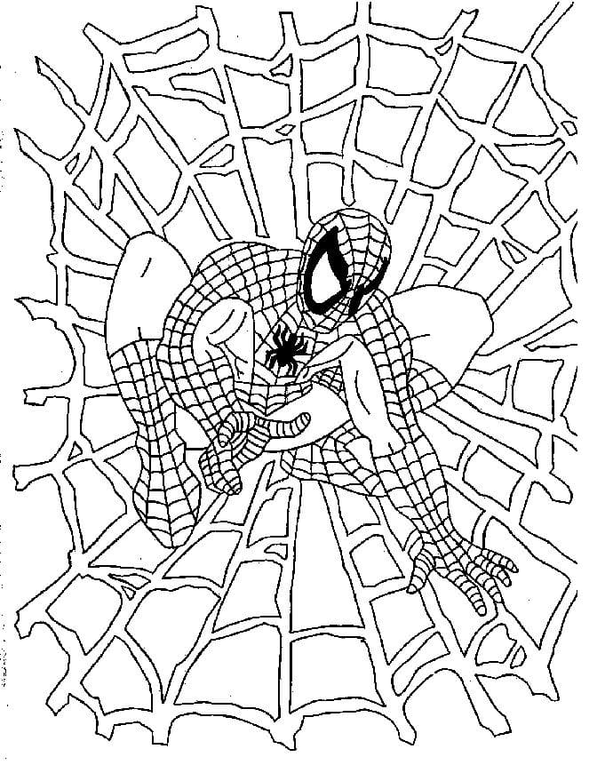 Spiderman Coloring Pages Free Printable 70