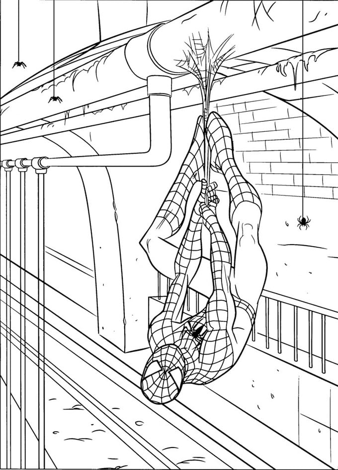 Spiderman Coloring Pages Free Printable 71