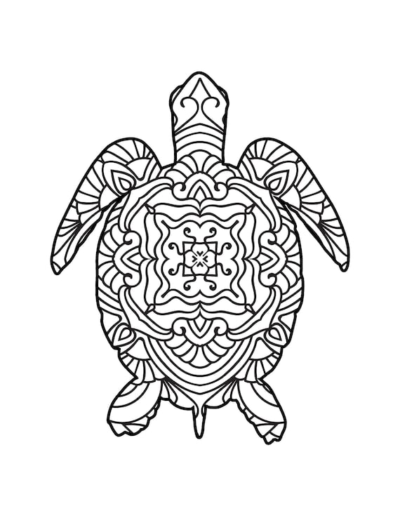 160 Turtle Coloring Pages: Slow and Steady Wins the Coloring Race 100