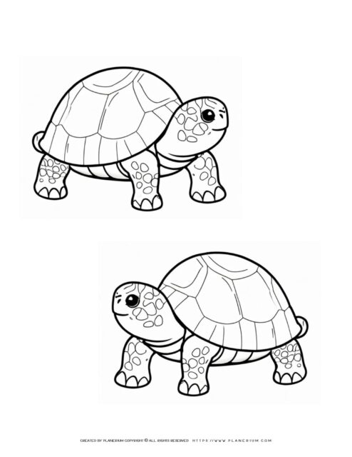 160 Turtle Coloring Pages: Slow and Steady Wins the Coloring Race 107