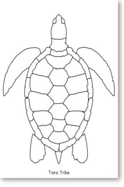 160 Turtle Coloring Pages: Slow and Steady Wins the Coloring Race 120