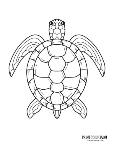 160 Turtle Coloring Pages: Slow and Steady Wins the Coloring Race 130