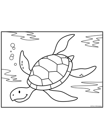 160 Turtle Coloring Pages: Slow and Steady Wins the Coloring Race 134