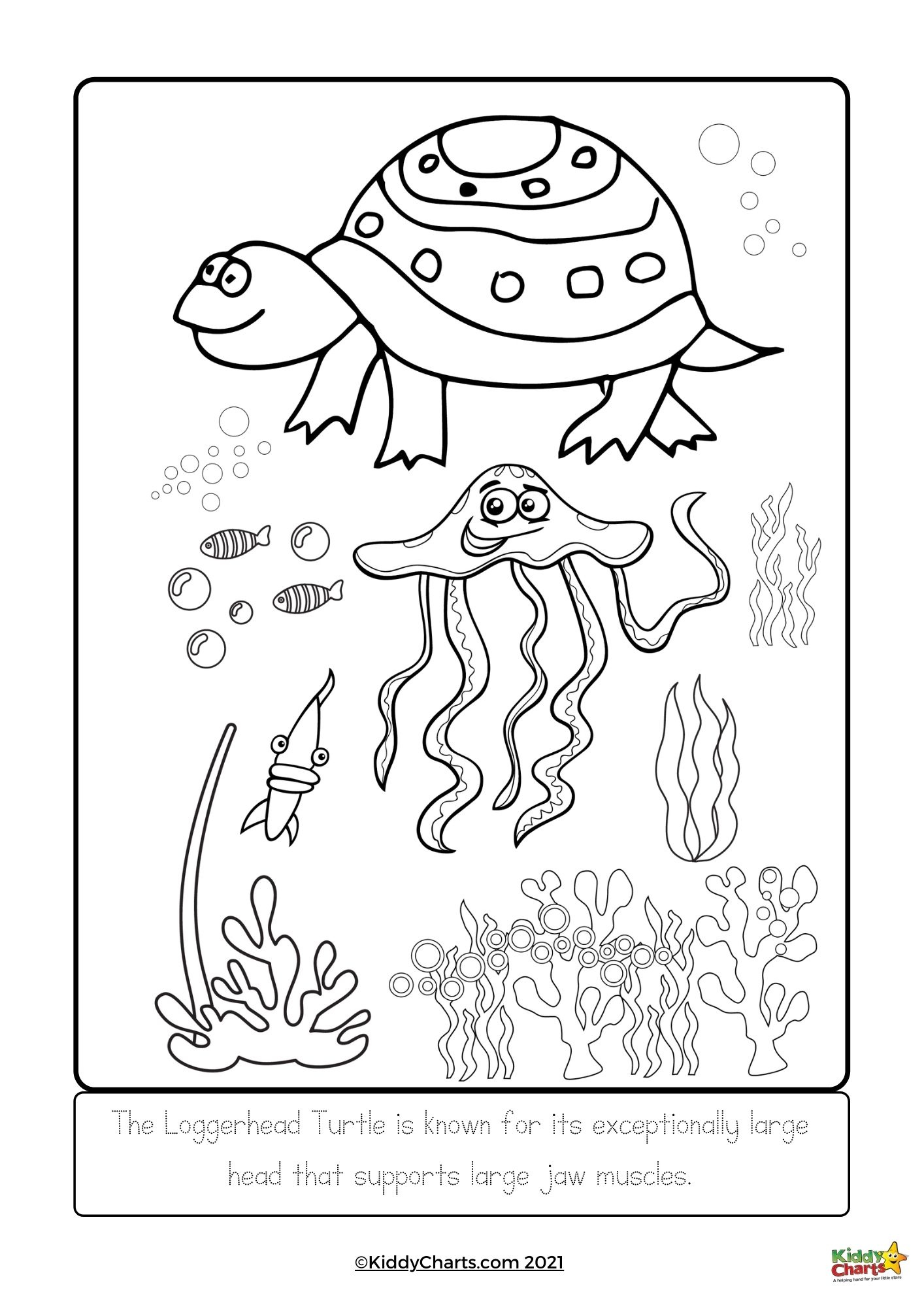 160 Turtle Coloring Pages: Slow and Steady Wins the Coloring Race 14