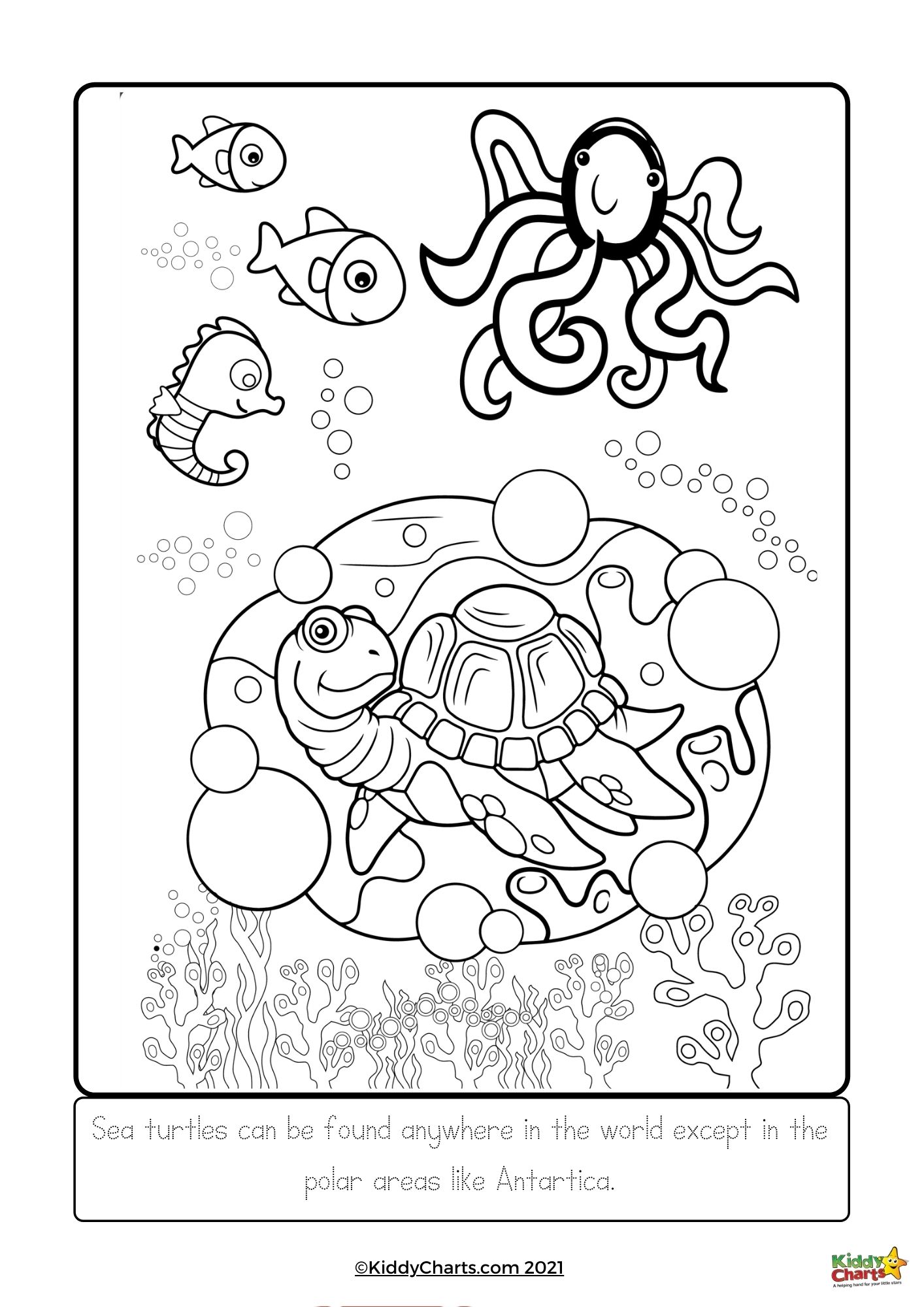 160 Turtle Coloring Pages: Slow and Steady Wins the Coloring Race 15