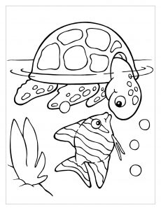 160 Turtle Coloring Pages: Slow and Steady Wins the Coloring Race 159