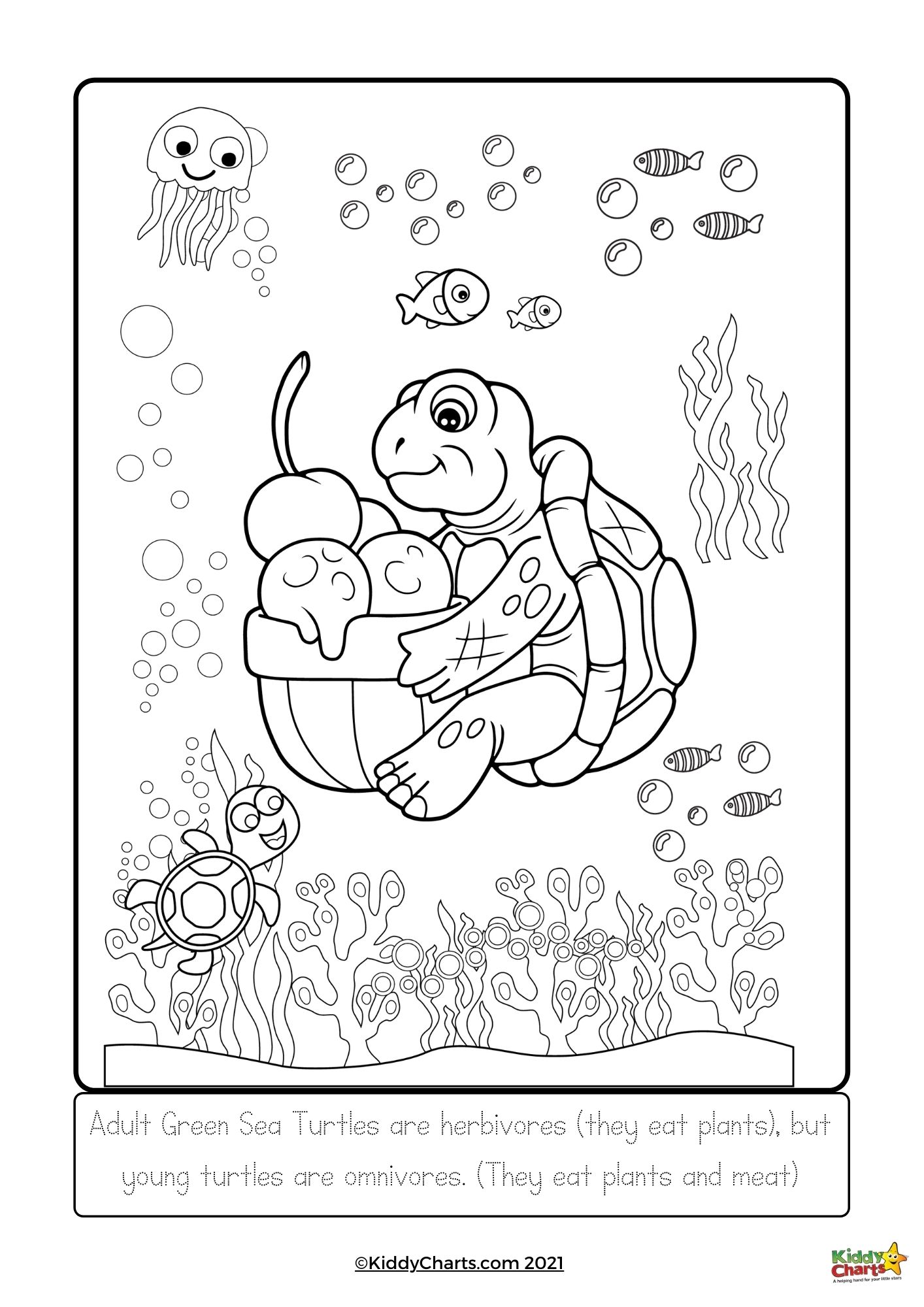 160 Turtle Coloring Pages: Slow and Steady Wins the Coloring Race 16