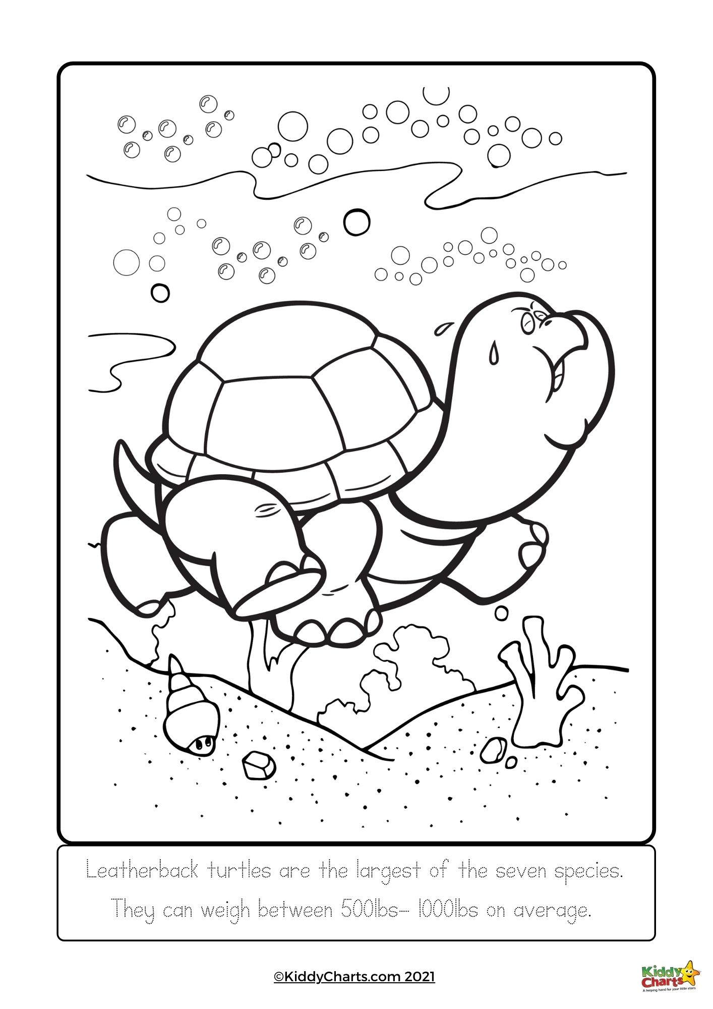 160 Turtle Coloring Pages: Slow and Steady Wins the Coloring Race 17