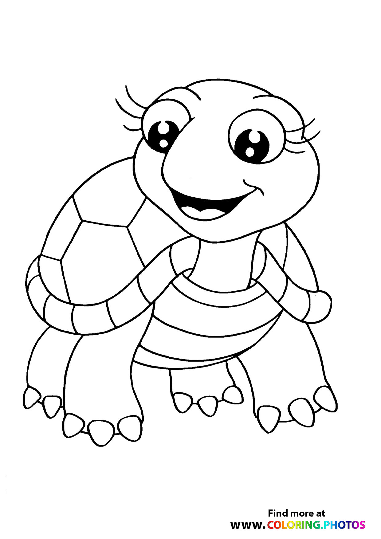 160 Turtle Coloring Pages: Slow and Steady Wins the Coloring Race 18