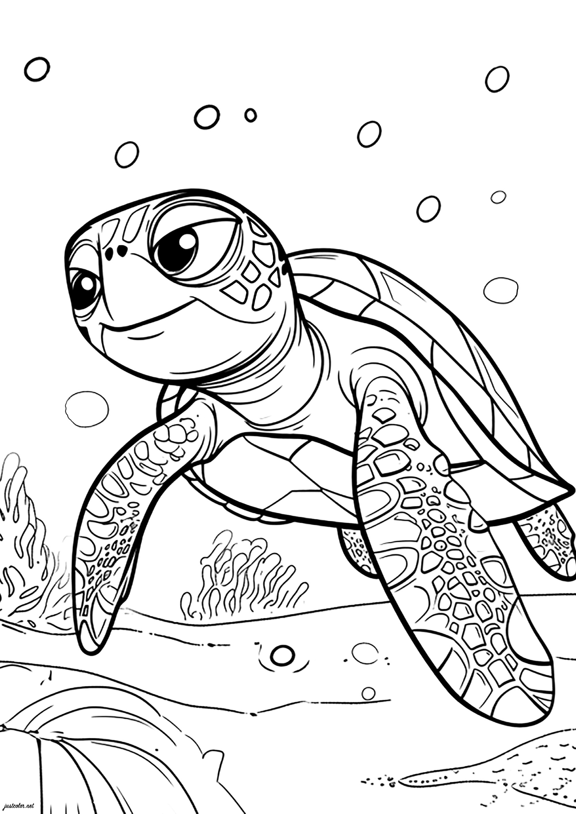 160 Turtle Coloring Pages: Slow and Steady Wins the Coloring Race 2