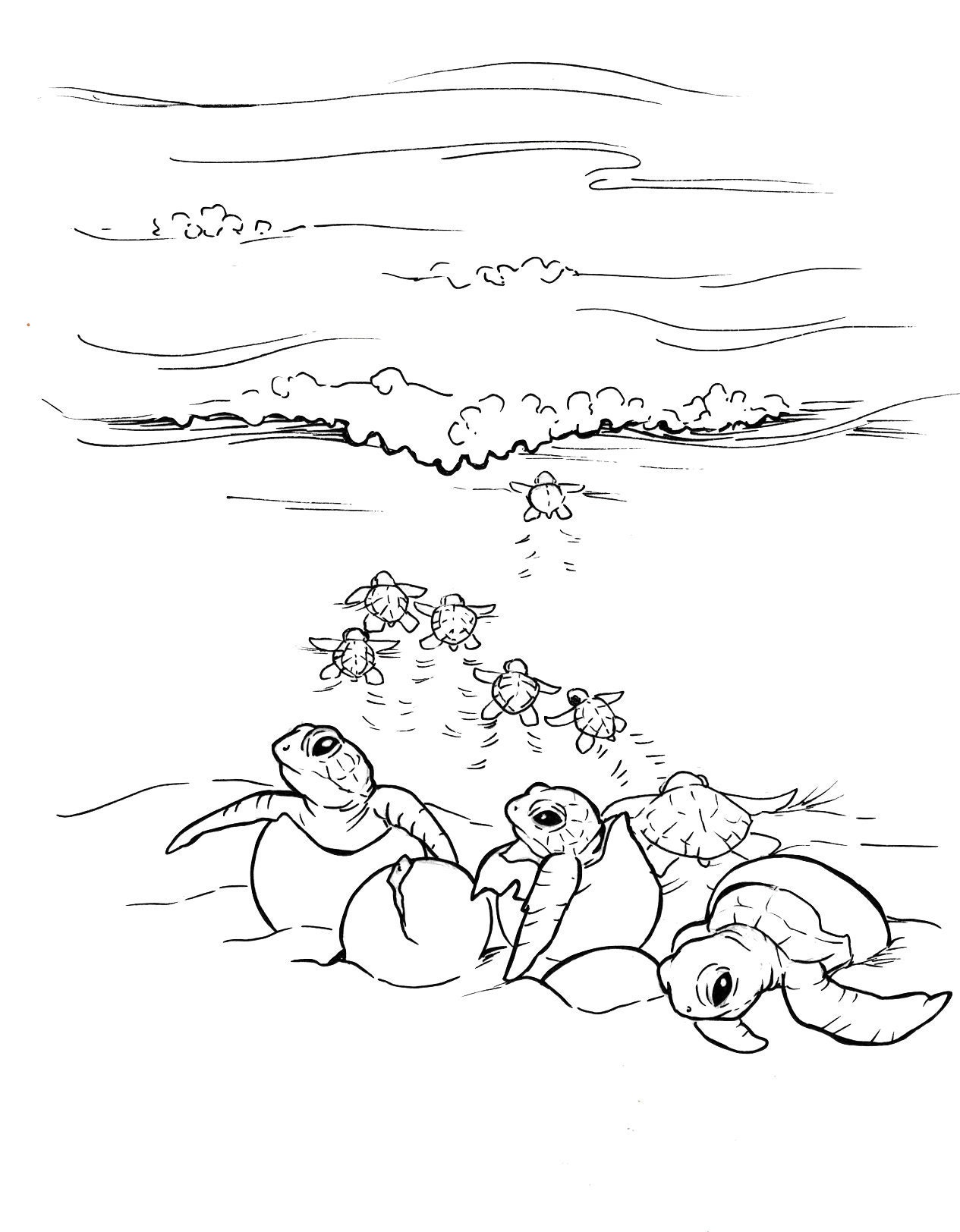 160 Turtle Coloring Pages: Slow and Steady Wins the Coloring Race 20