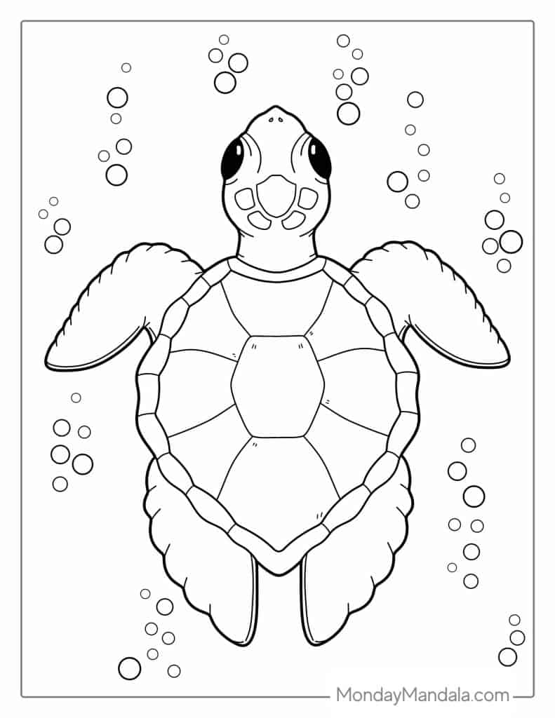 160 Turtle Coloring Pages: Slow and Steady Wins the Coloring Race 39