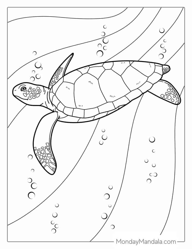 160 Turtle Coloring Pages: Slow and Steady Wins the Coloring Race 40