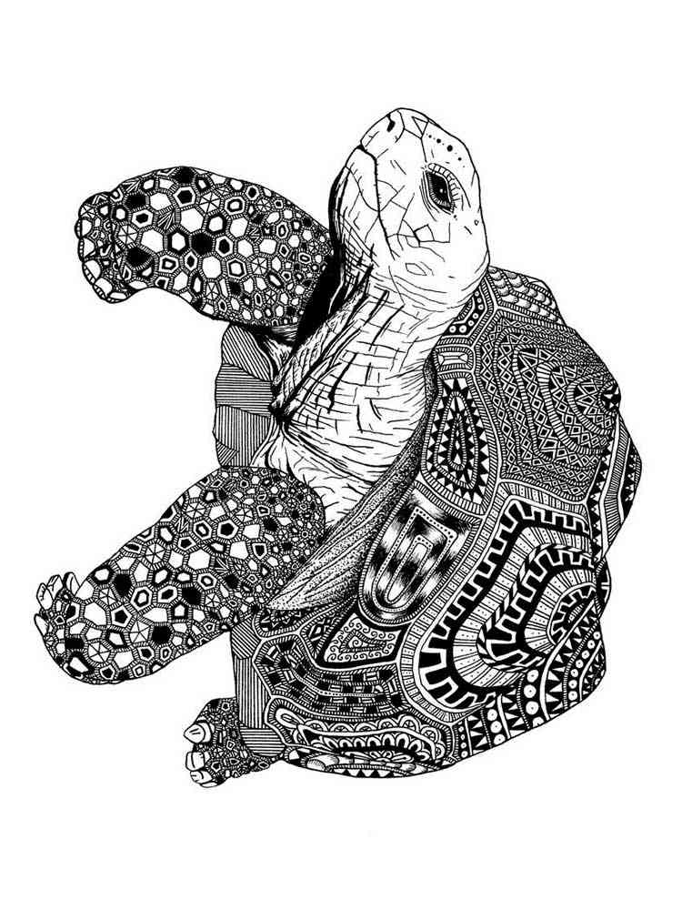 160 Turtle Coloring Pages: Slow and Steady Wins the Coloring Race 57