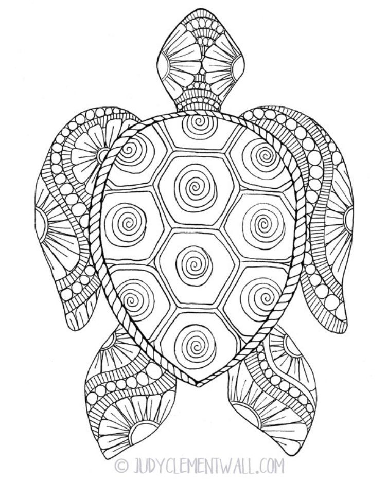 160 Turtle Coloring Pages: Slow and Steady Wins the Coloring Race 68