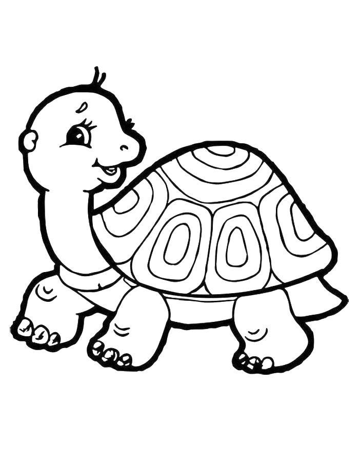 160 Turtle Coloring Pages: Slow and Steady Wins the Coloring Race 71