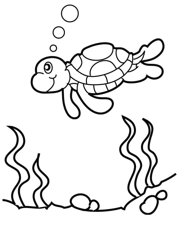 160 Turtle Coloring Pages: Slow and Steady Wins the Coloring Race 73