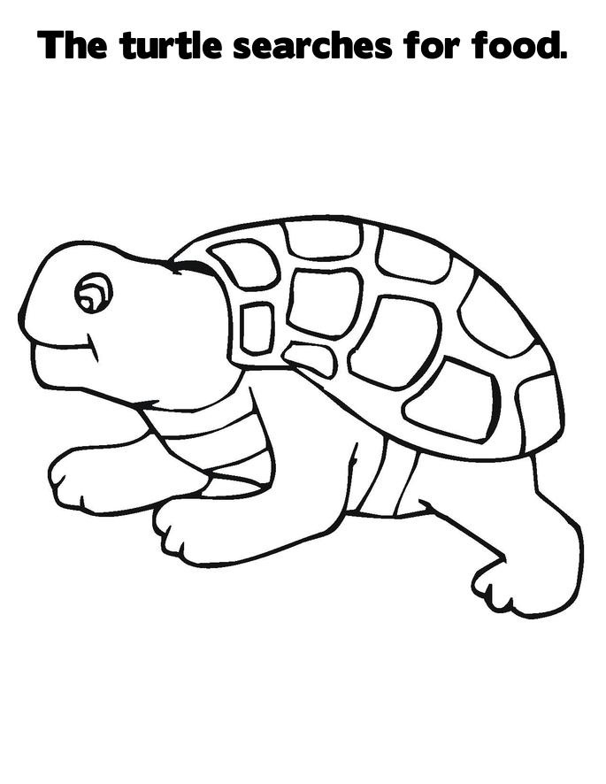 160 Turtle Coloring Pages: Slow and Steady Wins the Coloring Race 76