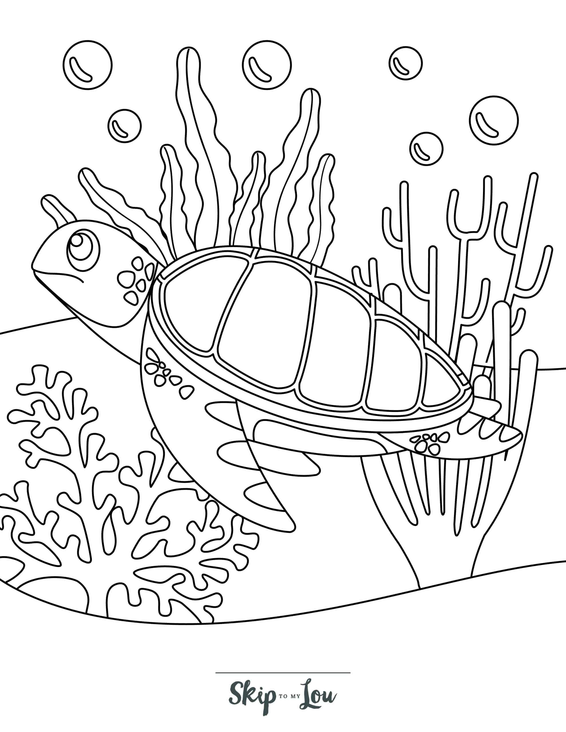 160 Turtle Coloring Pages: Slow and Steady Wins the Coloring Race 8