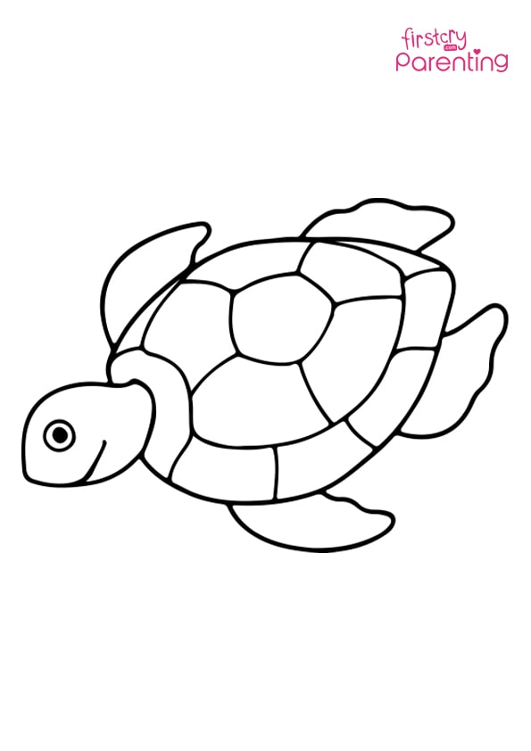 160 Turtle Coloring Pages: Slow and Steady Wins the Coloring Race 80