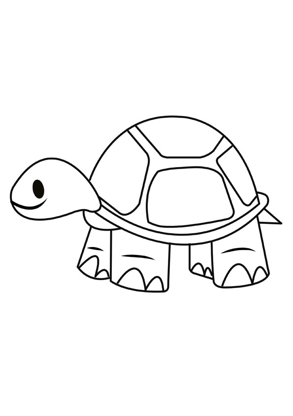 160 Turtle Coloring Pages: Slow and Steady Wins the Coloring Race 82