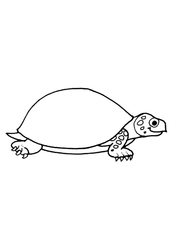 160 Turtle Coloring Pages: Slow and Steady Wins the Coloring Race 83