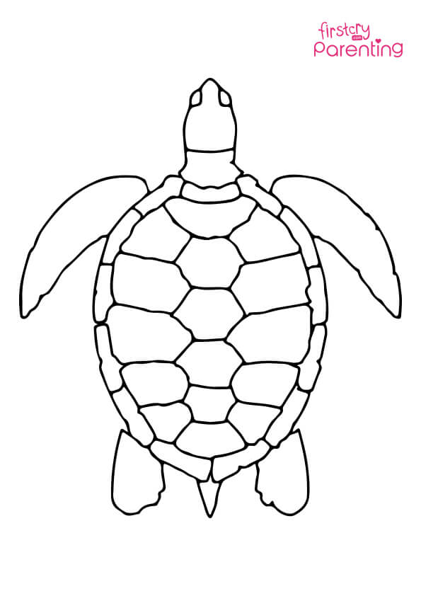 160 Turtle Coloring Pages: Slow and Steady Wins the Coloring Race 84