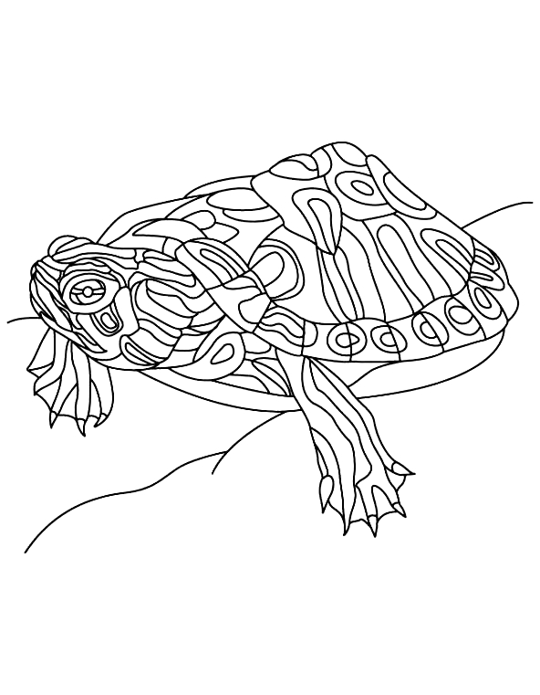 160 Turtle Coloring Pages: Slow and Steady Wins the Coloring Race 93