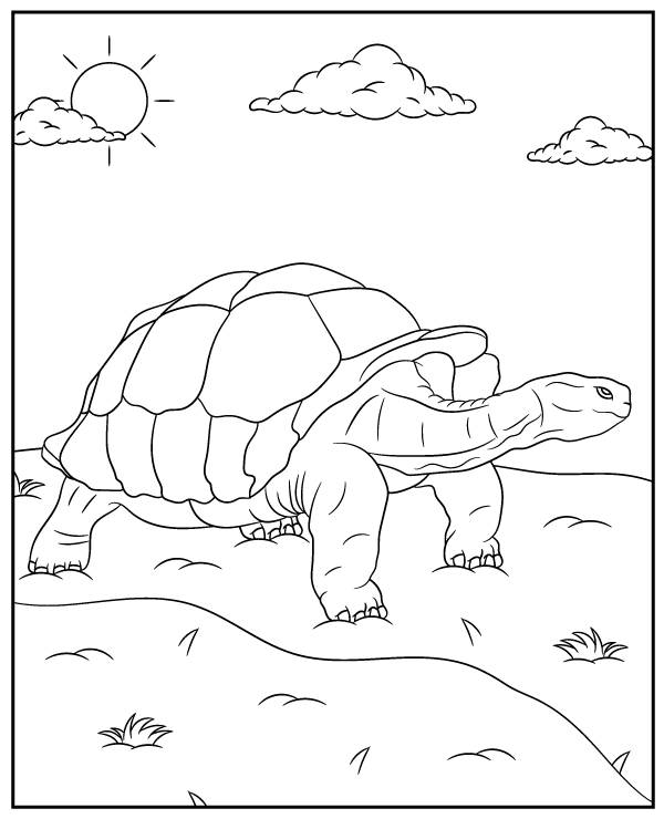 160 Turtle Coloring Pages: Slow and Steady Wins the Coloring Race 94