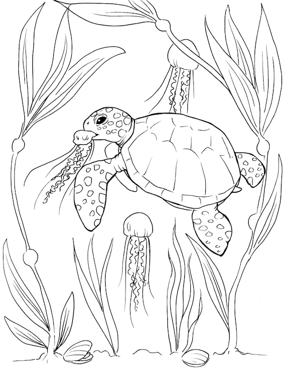 160 Turtle Coloring Pages: Slow and Steady Wins the Coloring Race 97