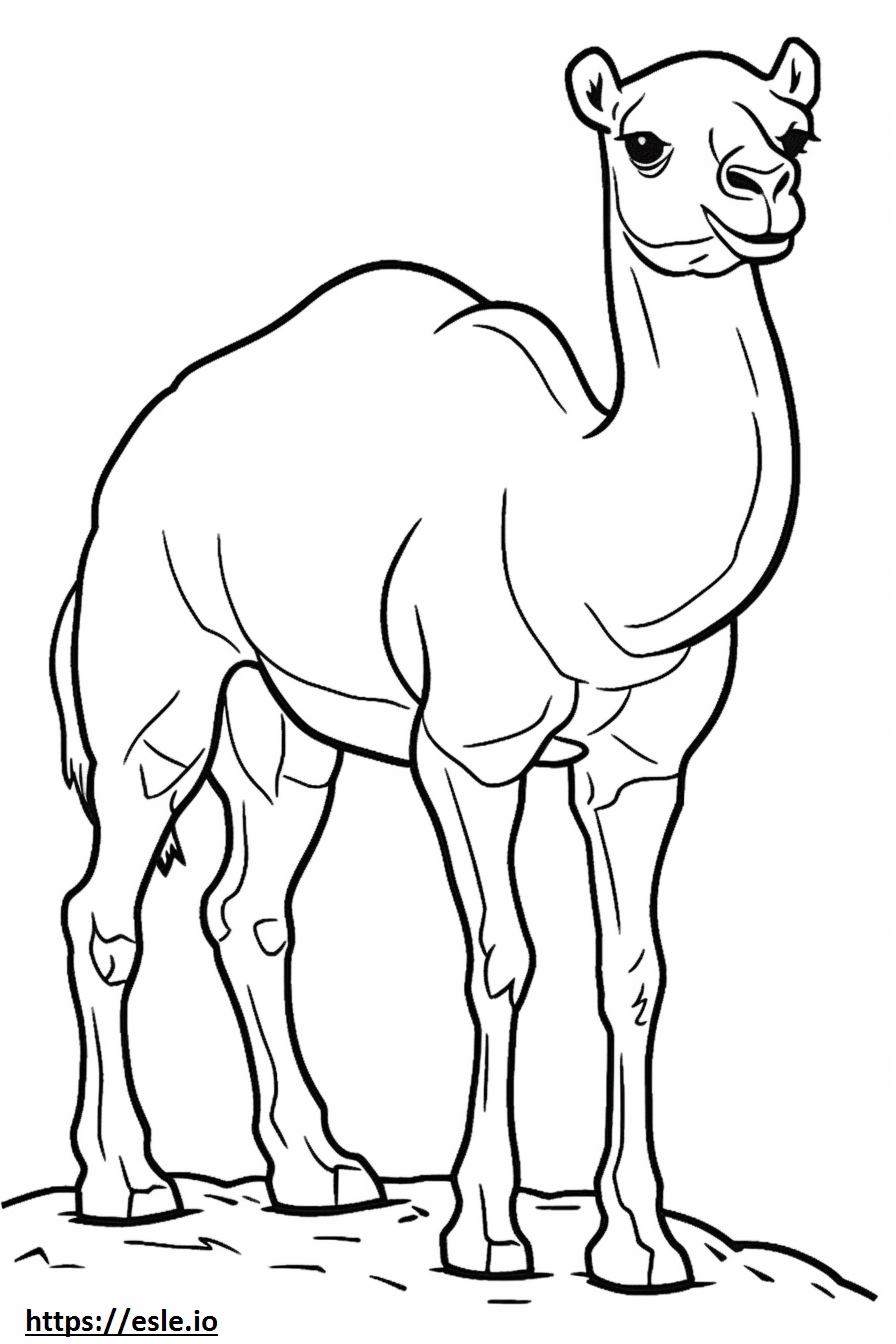 180+ Fox Coloring Pages 104