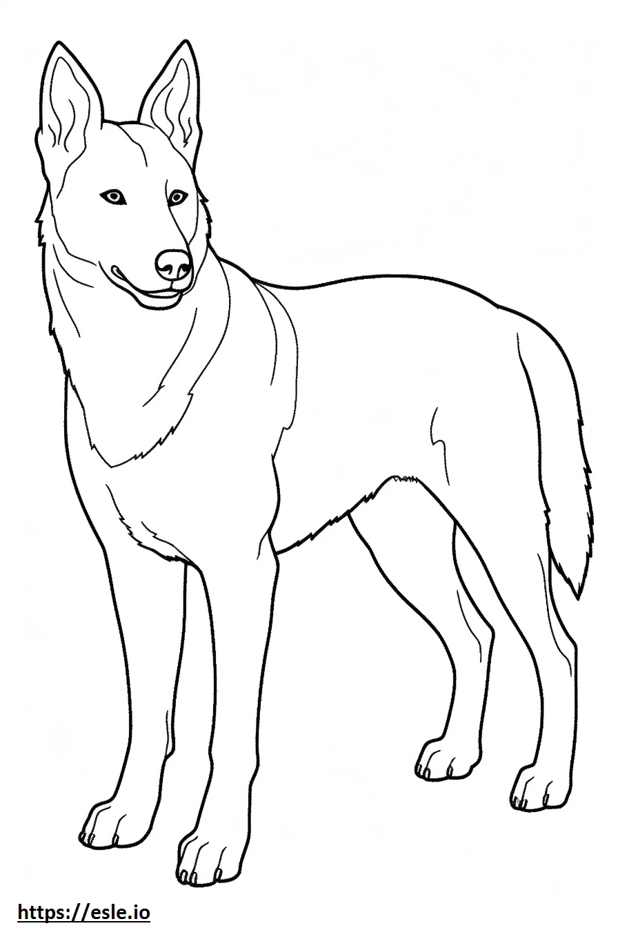 180+ Fox Coloring Pages 105