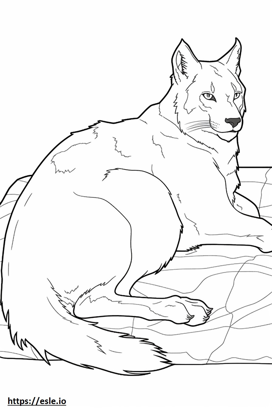 180+ Fox Coloring Pages 111