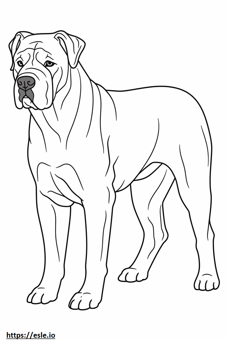 180+ Fox Coloring Pages 114