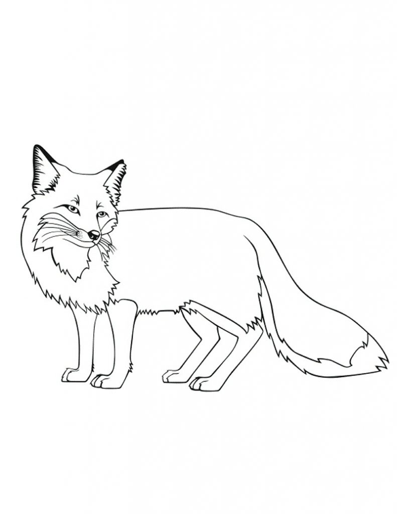 180+ Fox Coloring Pages 145