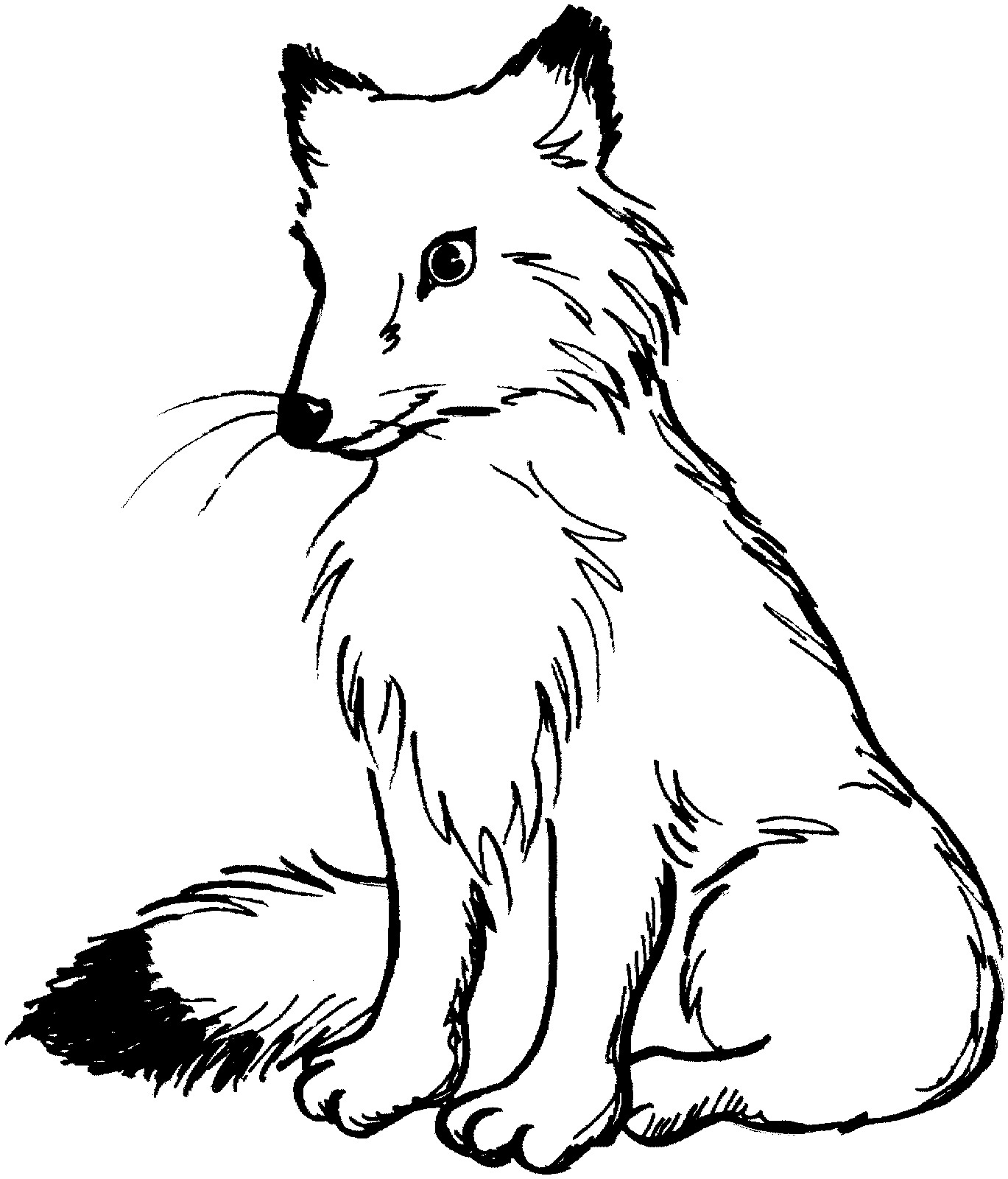 180+ Fox Coloring Pages 153