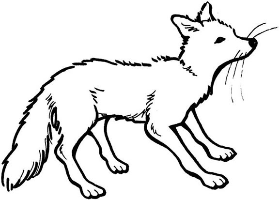 180+ Fox Coloring Pages 158