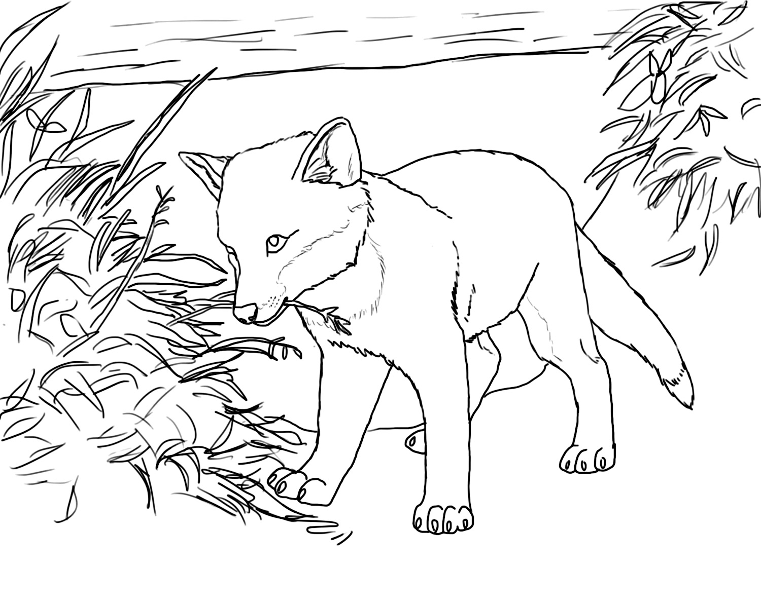 180+ Fox Coloring Pages 169