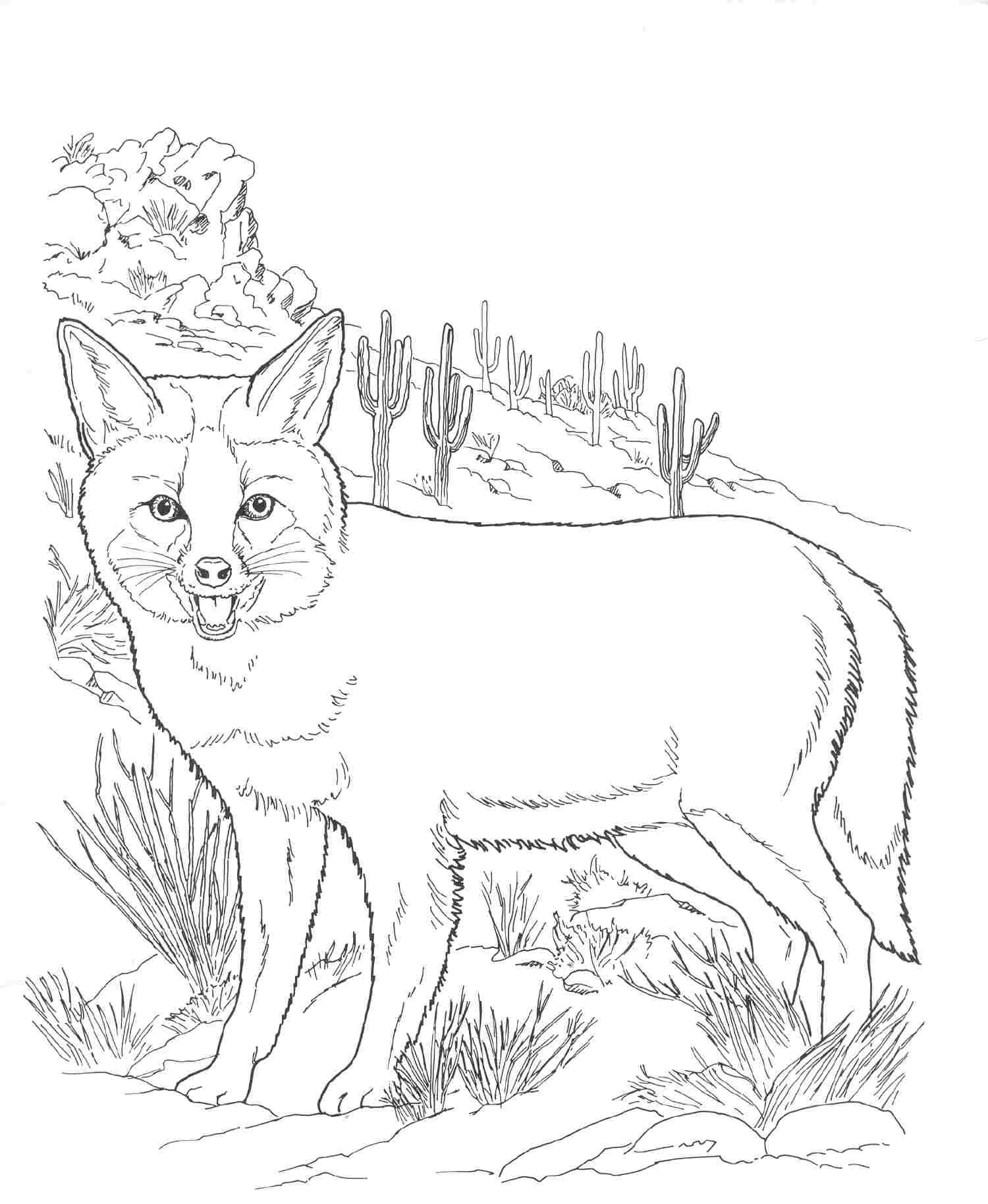 180+ Fox Coloring Pages 17