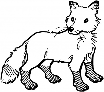 180+ Fox Coloring Pages 175