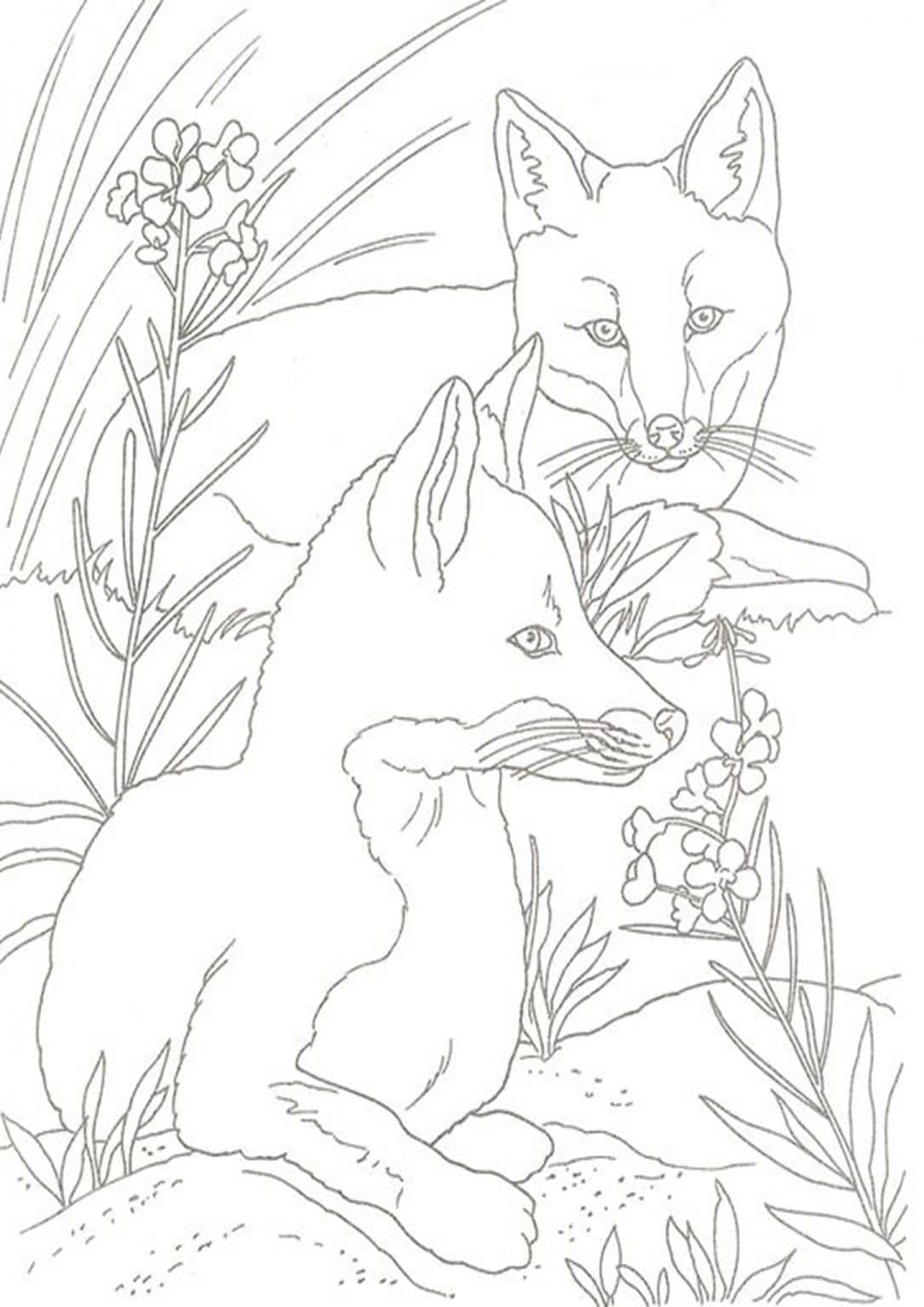 180+ Fox Coloring Pages 26