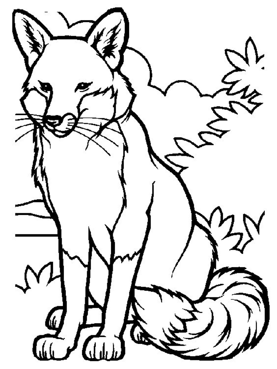 180+ Fox Coloring Pages 30