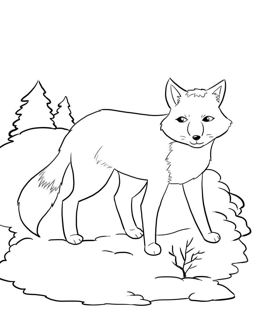 180+ Fox Coloring Pages 34