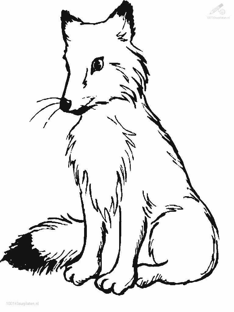 180+ Fox Coloring Pages 45