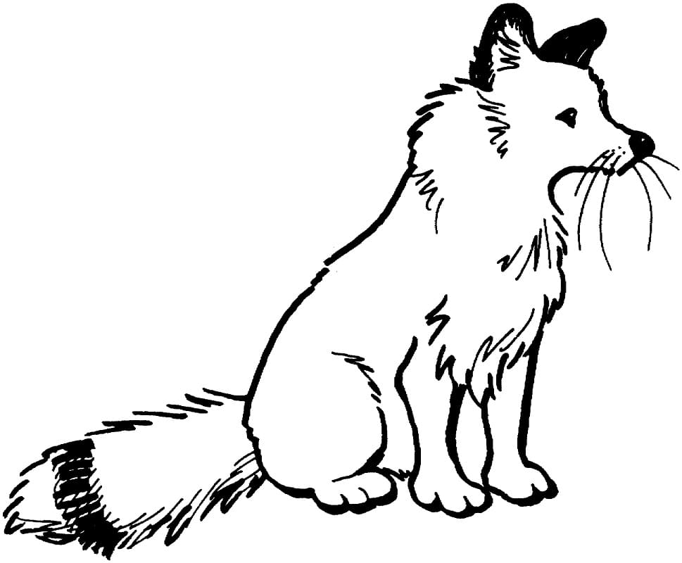 180+ Fox Coloring Pages 47