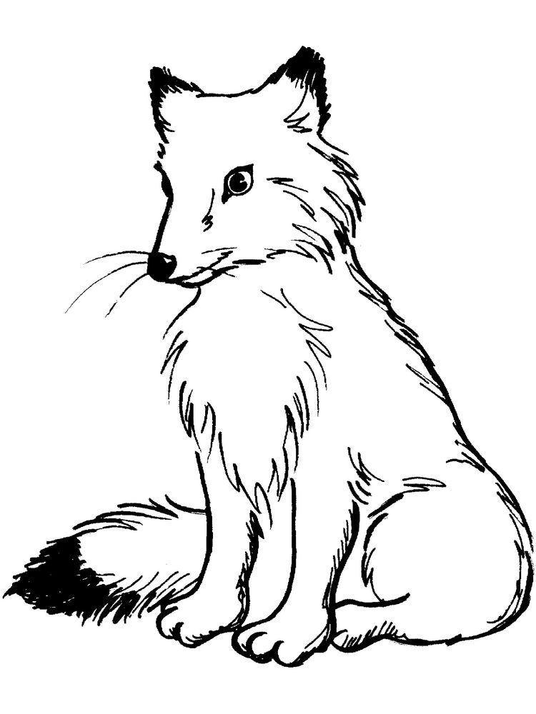 180+ Fox Coloring Pages 48